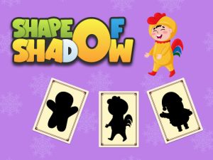 Read more about the article Shape of Shadow