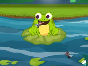Read more about the article Frog Feast
