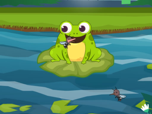 Read more about the article Frog Feast