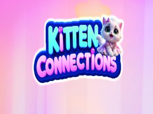 Read more about the article Kitten Connections