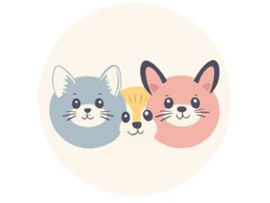 Read more about the article CRAZY ANIMALS