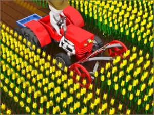 Read more about the article Cut the Grass Cutting Grass