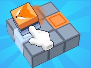 Read more about the article Block Mania Puzzle