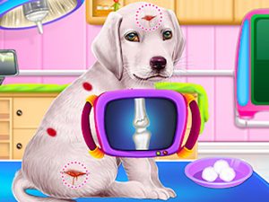 Read more about the article Labrador Puppy Daycare Salon