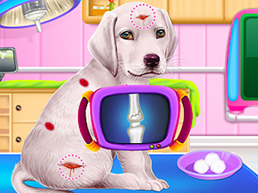 Read more about the article Labrador Puppy Daycare Salon