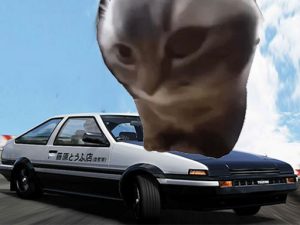 Read more about the article Car Stunt Chipi Chipi Chapa Chapa Cat