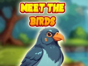 Read more about the article Meet The Birds