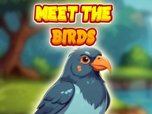 Read more about the article Meet The Birds