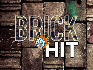 Read more about the article Brick Hit