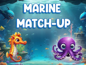 Read more about the article Marine Match Up