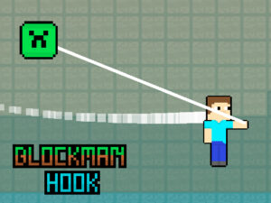 Read more about the article Blockman Hook