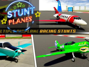 Read more about the article Stunt Planes